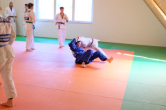 DSCF4966